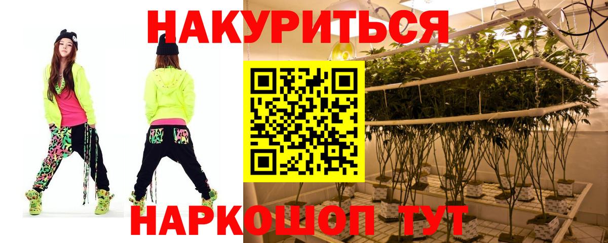 Бошки марихуана ГИДРОПОН  Конопля Ganja  Большой Камень  Вход с VPN 